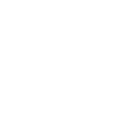 Empire Team Logo