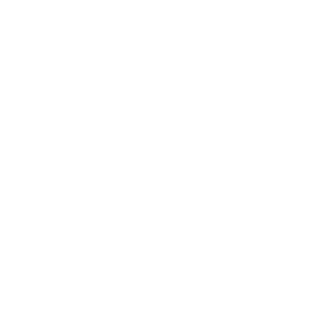 Empire Team Logo